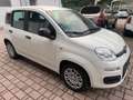 Fiat Panda Panda 1.0 firefly hybrid Weiß - thumbnail 3