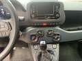 Fiat Panda Panda 1.0 firefly hybrid Weiß - thumbnail 13