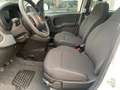 Fiat Panda Panda 1.0 firefly hybrid Weiß - thumbnail 6