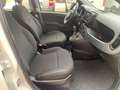 Fiat Panda Panda 1.0 firefly hybrid Weiß - thumbnail 10