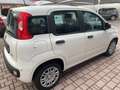 Fiat Panda Panda 1.0 firefly hybrid Weiß - thumbnail 4