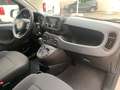 Fiat Panda Panda 1.0 firefly hybrid Weiß - thumbnail 11