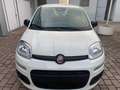 Fiat Panda Panda 1.0 firefly hybrid Weiß - thumbnail 2