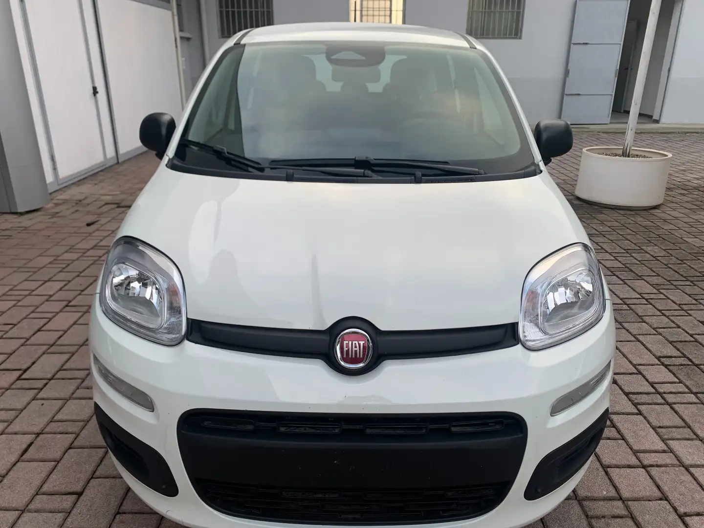 Fiat Panda Panda 1.0 firefly hybrid Weiß - 2