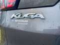 Ford Kuga 1,5 TDCi Titanium - Erstbesitz - Pickerl 2026/07 Grau - thumbnail 6