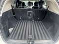 Mercedes-Benz ML 350 DESIGNO/AHK/RFK/SHD Weiß - thumbnail 14