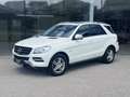Mercedes-Benz ML 350 DESIGNO/AHK/RFK/SHD Weiß - thumbnail 1