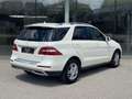 Mercedes-Benz ML 350 DESIGNO/AHK/RFK/SHD Weiß - thumbnail 6