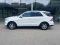 Mercedes-Benz ML 350 DESIGNO/AHK/RFK/SHD Weiß - thumbnail 4