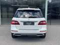 Mercedes-Benz ML 350 DESIGNO/AHK/RFK/SHD Weiß - thumbnail 5