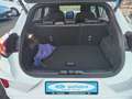 Ford Puma ST-Line X Weiß - thumbnail 7