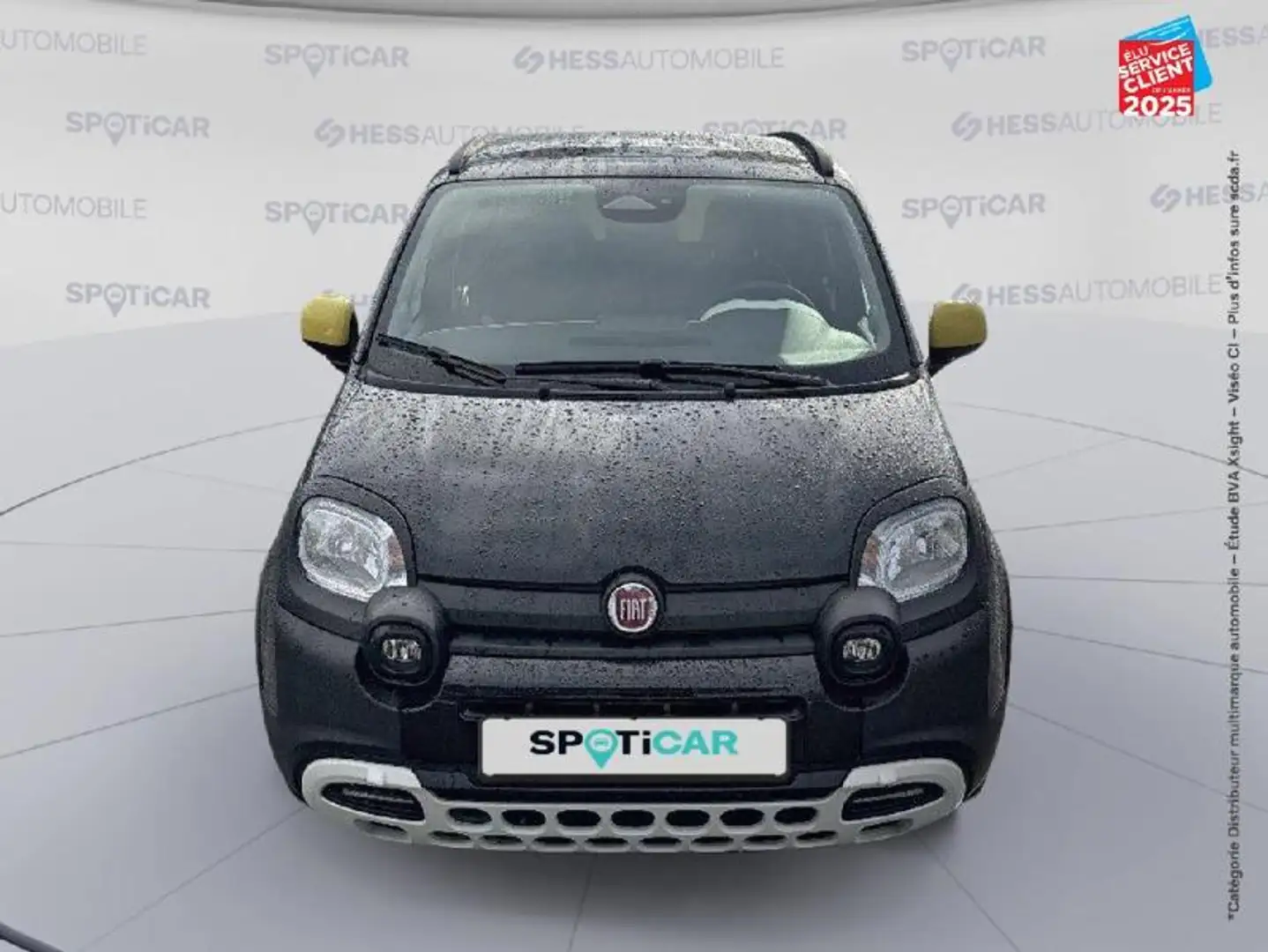 Fiat Panda Classic 1.0 70ch BSG S\u0026S Pandina - 2