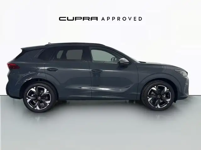CUPRA Terramar 1.5 eTSI 110 DSG