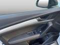 Audi Q5 40TDI quattro S tronic Pano B&O Mat Weiß - thumbnail 14