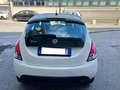 Lancia Ypsilon 1.2 69 CV 5 porte GPL Ecochic Gold#NEOPATENTATI Wit - thumbnail 5