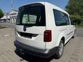 Volkswagen Caddy 2.0 Maxi DSG PKW ACC Spur St-Heiz Kam AHK Weiß - thumbnail 7