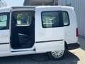 Volkswagen Caddy 2.0 Maxi DSG PKW ACC Spur St-Heiz Kam AHK Weiß - thumbnail 12