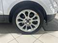 Ford EcoSport 1.5 Ecoblue 95 CV Start&Stop Titanium Blanco - thumbnail 16