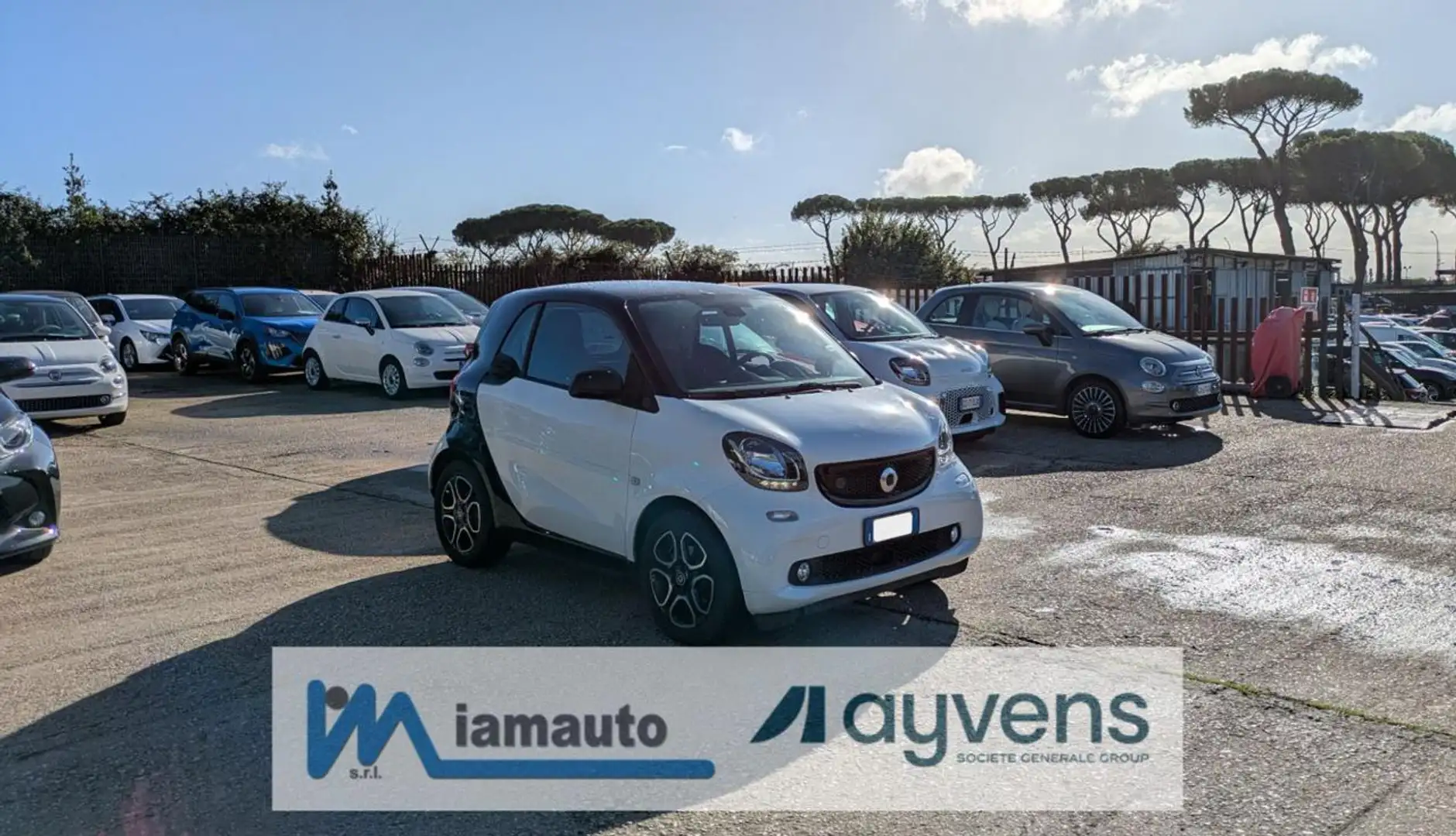 smart forTwo EQ CABRIO PASSION 60kW TETTO PANORAMICO Bianco - 1