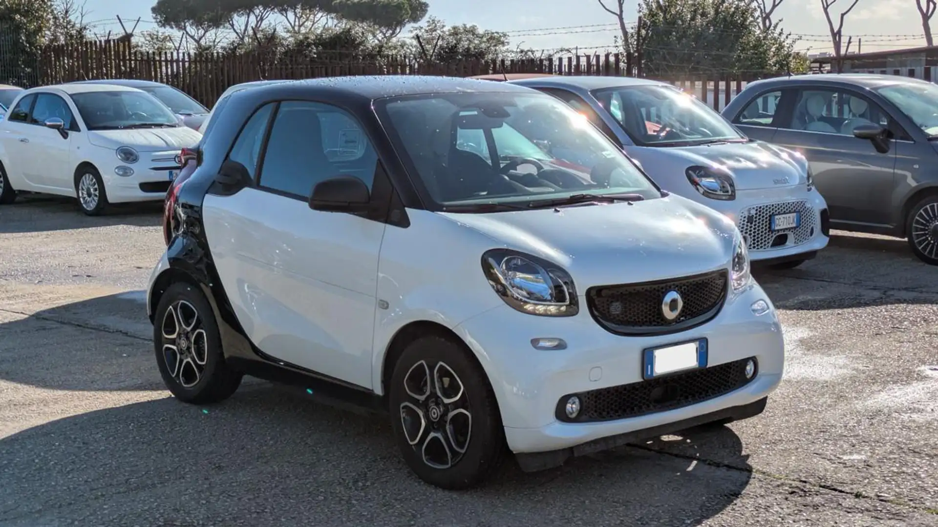 smart forTwo EQ CABRIO PASSION 60kW TETTO PANORAMICO Bianco - 2