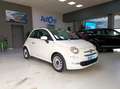 Fiat 500 1.0 70CV HYBRID S&S DOLCEVITA Wit - thumbnail 1