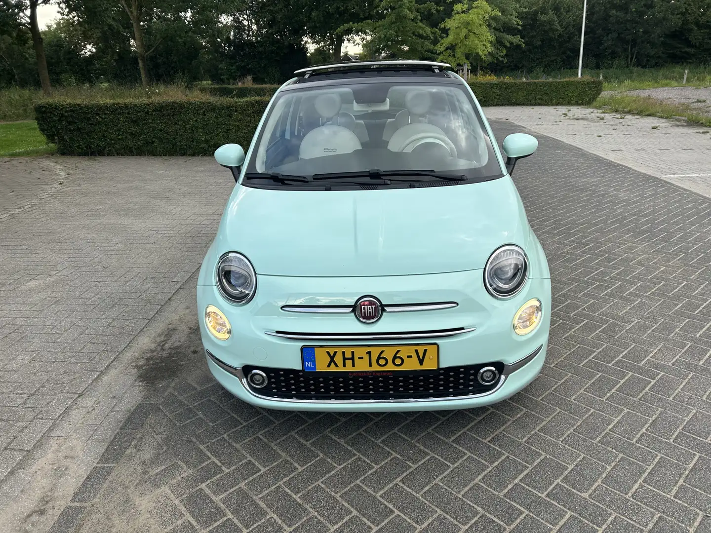 Fiat 500 0.9 TwinAir Turbo Collezione Pano Cruise Pdc Tom T Verde - 2