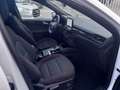 Ford Kuga 1.5 EcoBlue ST-Line FWD 120 Aut. Blanco - thumbnail 11