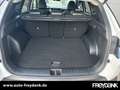 Hyundai TUCSON FL 1.6 T-GDI (160 PS) 48V 7-DCT 4WD PRIME Assisten Weiß - thumbnail 9