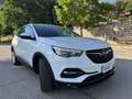 Opel Grandland X 1.5 ecotec 130cv Business AT8..Navi..!! Weiß - thumbnail 3
