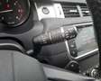 Land Rover Range Rover Evoque 2.0 TD4 150 CV 5p. SE Automatic Szürke - thumbnail 20