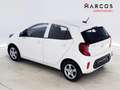 Kia Picanto 1.0 DPi Concept Blanco - thumbnail 4