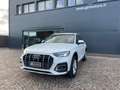 Audi Q5 40 TDI 204CV qu. S tr. Business Adv. Bianco - thumbnail 1