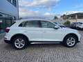 Audi Q5 40 TDI 204CV qu. S tr. Business Adv. Bianco - thumbnail 4