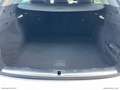 Audi Q5 40 TDI 204CV qu. S tr. Business Adv. Bianco - thumbnail 9