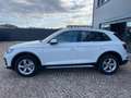 Audi Q5 40 TDI 204CV qu. S tr. Business Adv. Bianco - thumbnail 8