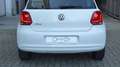 Volkswagen Polo 1.2 70 CV 5p. Comfortline Wit - thumbnail 6