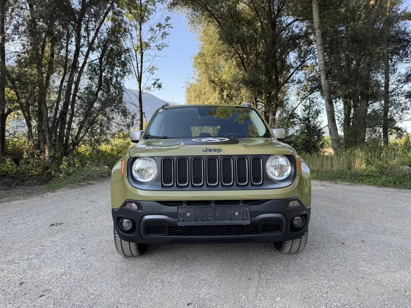 Jeep Renegade 2.0 MultiJet Active Drive Low Automatik Trailhawk - 1