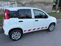 Fiat Panda Panda METANO 2 POSTI - thumbnail 5