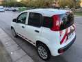 Fiat Panda Panda METANO 2 POSTI - thumbnail 6