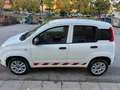 Fiat Panda Panda METANO 2 POSTI - thumbnail 10