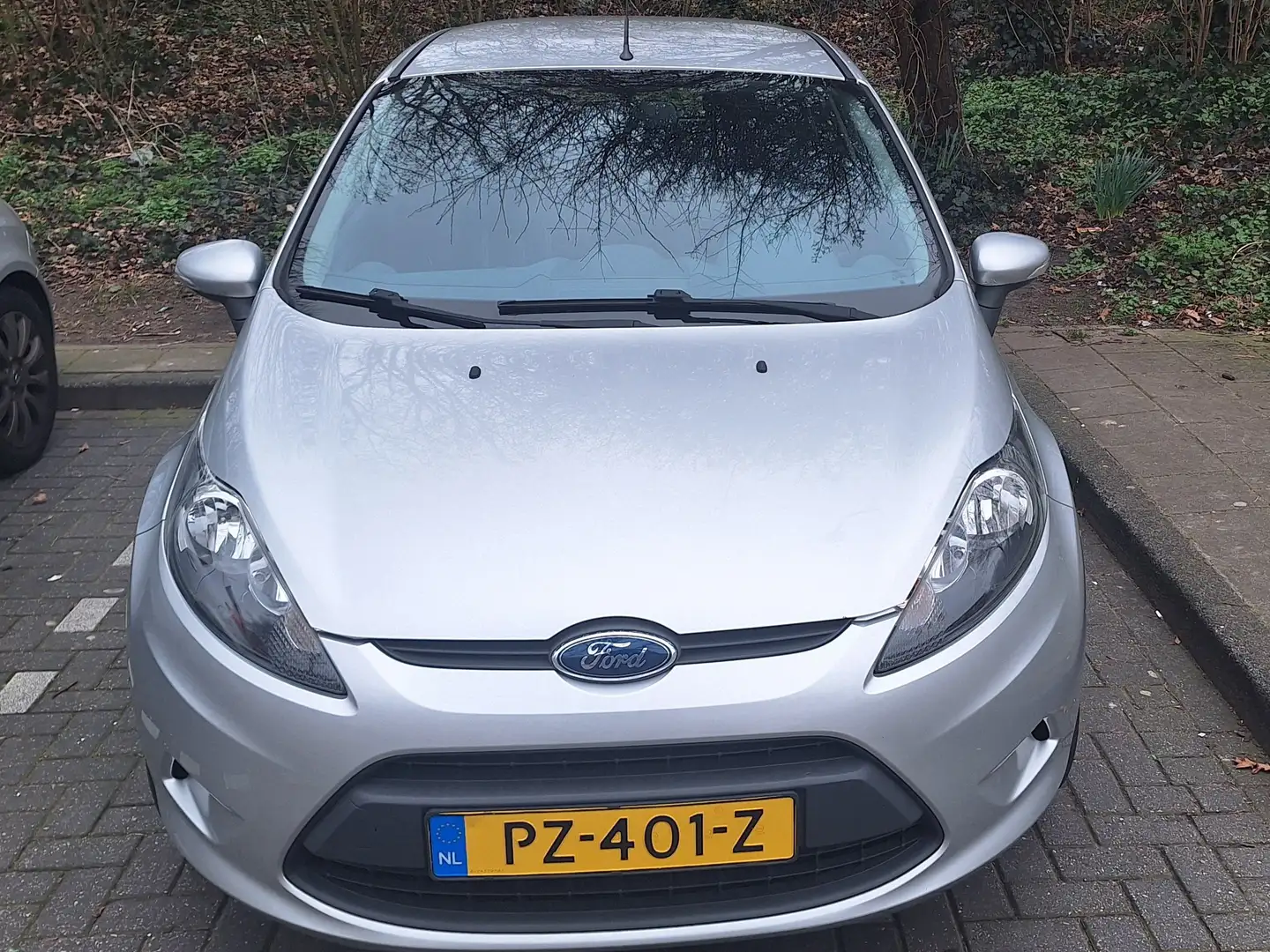 Ford Fiesta Fiesta+1.25+Trend Zilver - 1