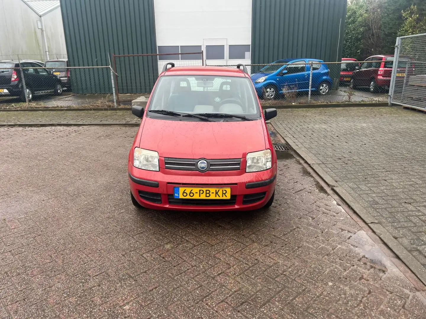 Fiat Panda 1.2 Dynamic Rot - 2