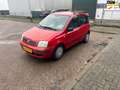 Fiat Panda 1.2 Dynamic Rot - thumbnail 1