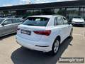 Audi Q3 35 TFSI Proline Advanced 1.5 S-Tronic AHK/ACC Weiß - thumbnail 3