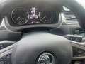 Skoda Rapid/Spaceback Spaceback Drive Weiß - thumbnail 9