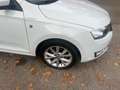 Skoda Rapid/Spaceback Spaceback Drive Weiß - thumbnail 4