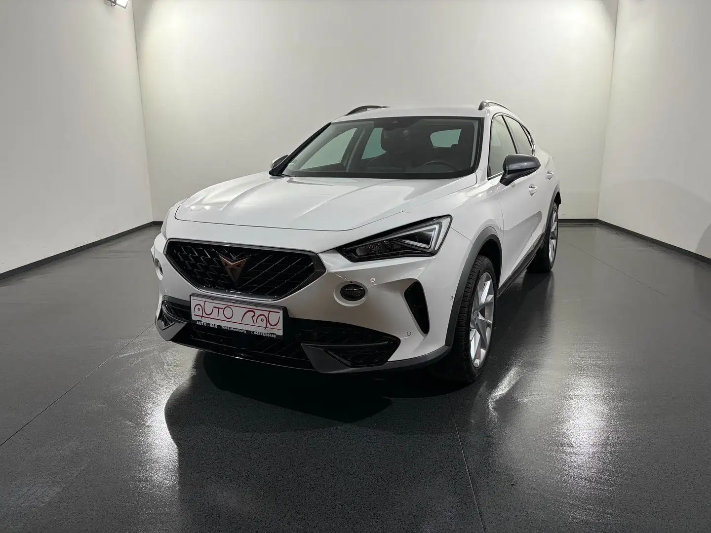 CUPRA Formentor 2.0 TDI 4Drive DSG *LED*AHK*ACC* Weiß - 2