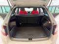 Skoda Fabia Combi Monte Carlo 1,0 TSI KLIMAAUTO SITZHZG TEMP Grau - thumbnail 43