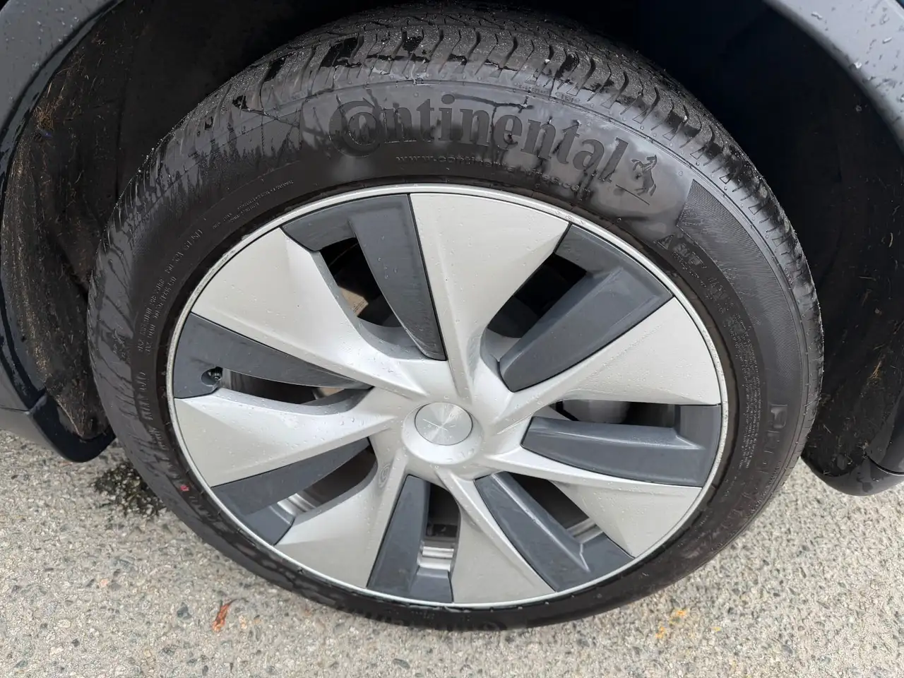 Tesla Model Y снимка Tesla Model Y