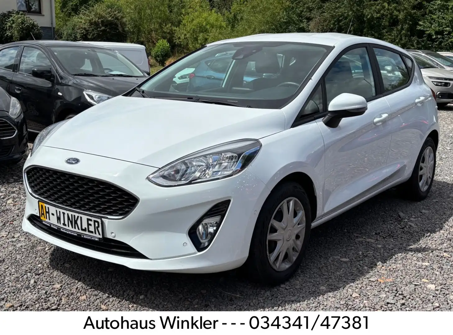 Ford Fiesta Cool & Connect Winterpaket DAB+ Parksyst Blanc - 1